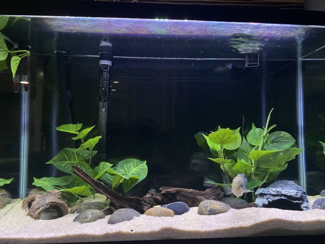 144980C3-0E63-4FC0-81B1-59A5B900082C.jpeg 144980C3-0E63-4FC0-81B1-59A5B900082C.jpeg