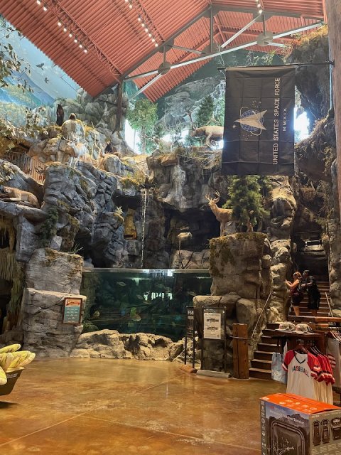 2022-07-13.jpg 2022-07-13.jpg