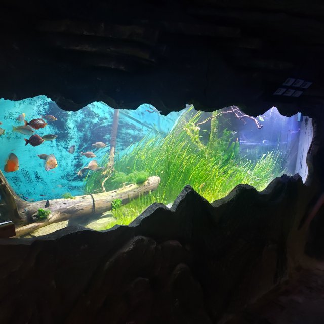 20220806_124346.jpg 20220806_124346.jpg