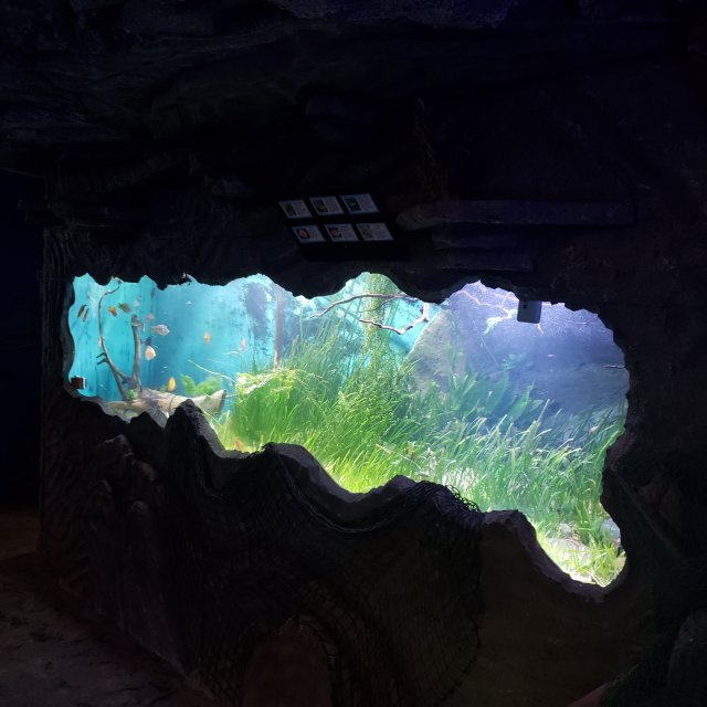 20220806_113947.jpg 20220806_113947.jpg