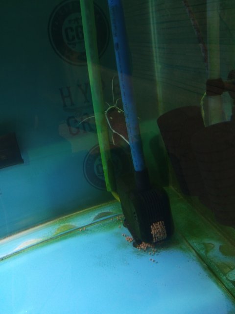 IMG_20220808_230013_847.jpg