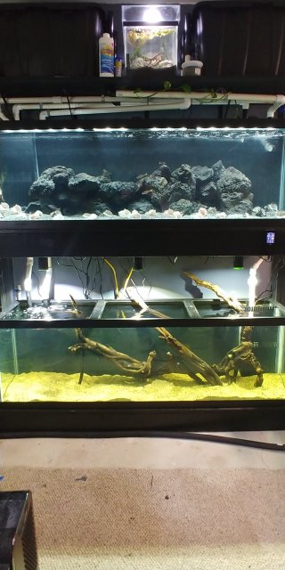 20220614_212047.jpg