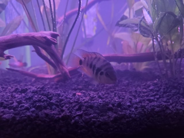 20220808_202308.jpg