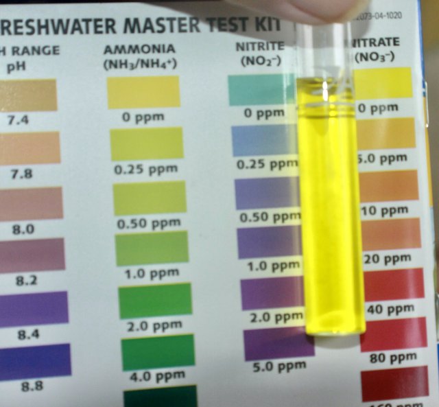 D8CA7278-2FD9-40F1-B922-8F93002F34A7_1_201_a.jpeg D8CA7278-2FD9-40F1-B922-8F93002F34A7_1_201_a.jpeg