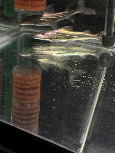 8D369F7D-8FA0-4F8D-86AA-D2E098908835.jpeg