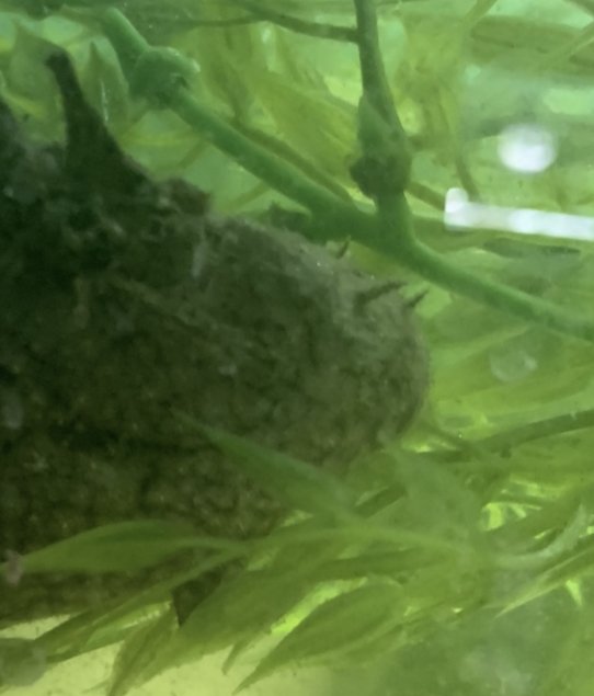 8A0C9C37-852E-41D0-8804-E6A9E4E00038.jpeg