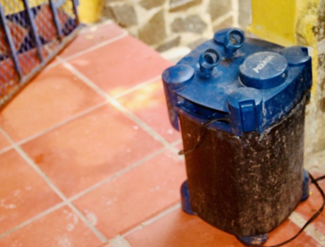 7AD75AB7-7307-4E39-86B4-40FCBFDB6AEE_1_201_a.jpeg 7AD75AB7-7307-4E39-86B4-40FCBFDB6AEE_1_201_a.jpeg