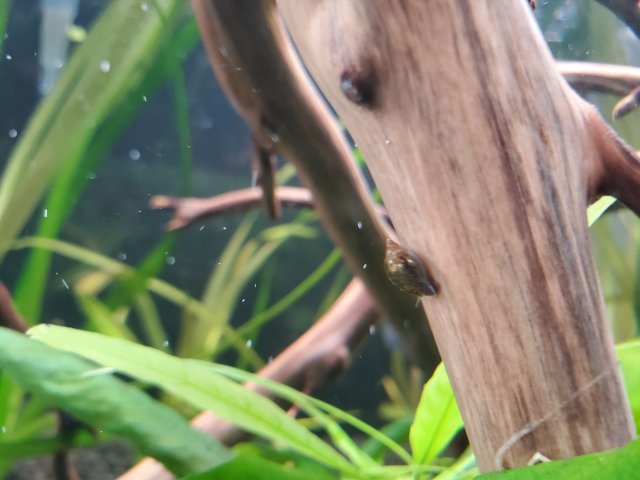 20220818_123026.jpg