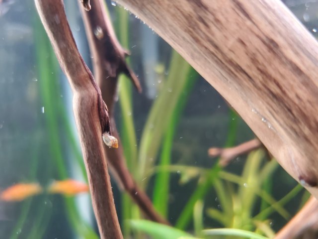20220818_122944.jpg