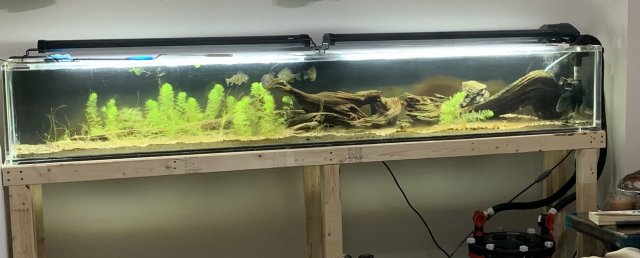 9F202050-0C1C-4616-8DF6-D3508D1AD3D5.jpeg