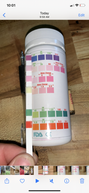 1E02AF63-643C-403E-B743-80F1139B4D22.png 1E02AF63-643C-403E-B743-80F1139B4D22.png