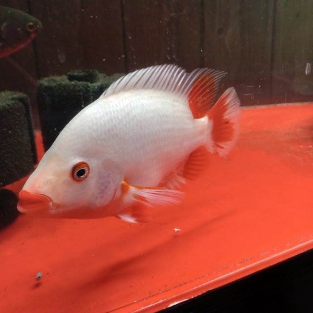 20220812_064959.jpg 20220812_064959.jpg