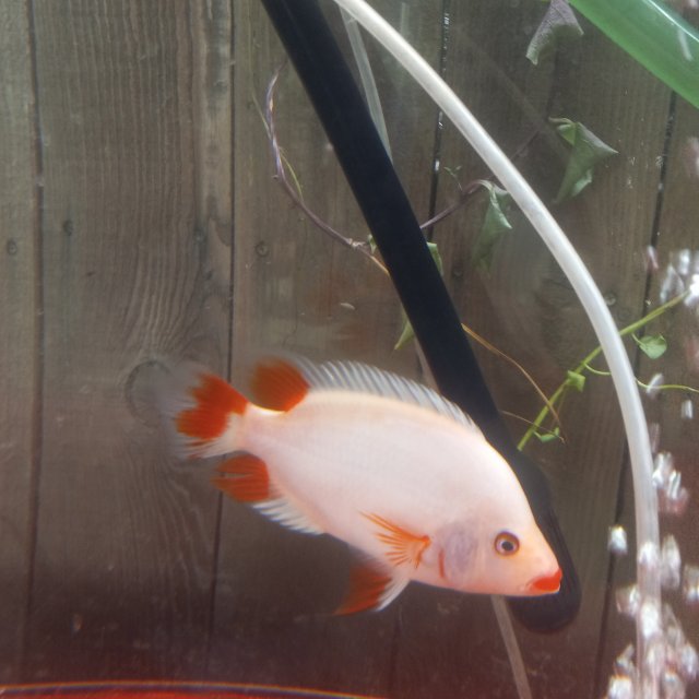 20220731_143216.jpg 20220731_143216.jpg