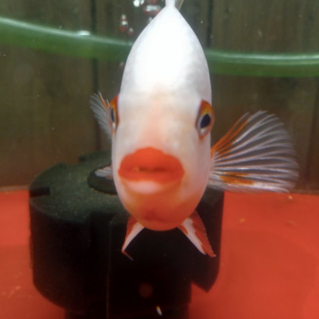 20220731_143158.jpg 20220731_143158.jpg