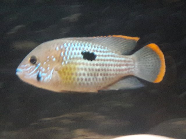 20180325_001718.jpg 20180325_001718.jpg