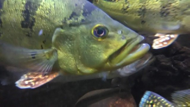 IMG_20190304_040411.jpg