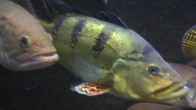 IMG_20190304_040414.jpg