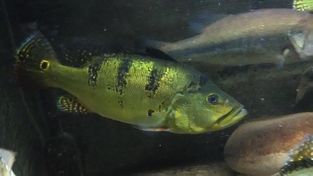 IMG_20190304_040352.jpg