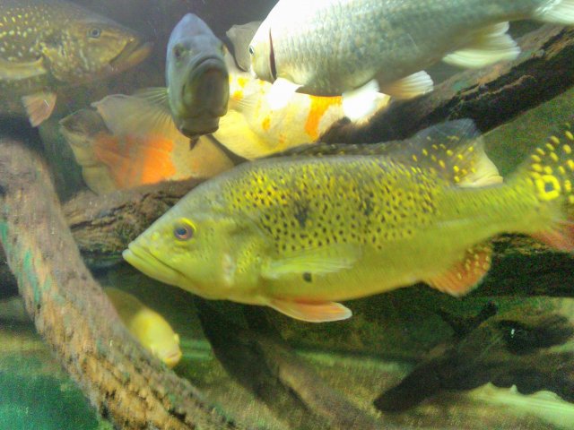 IMG_20200812_215627.jpg