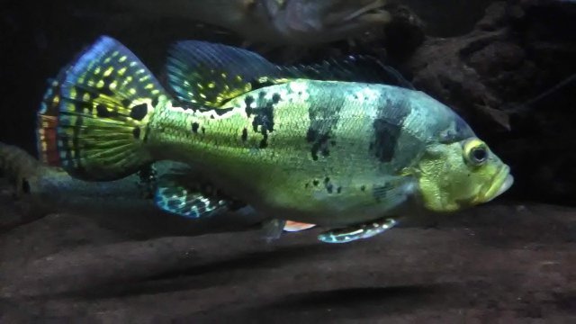 IMG_20190304_040441.jpg