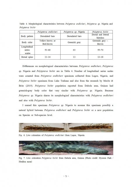 논문 최종발표용005.jpg 논문 최종발표용005.jpg