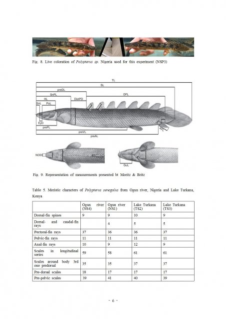 논문 최종발표용006.jpg 논문 최종발표용006.jpg