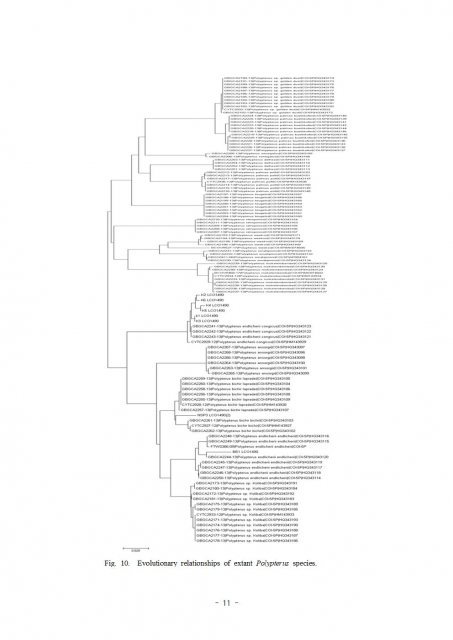 논문 최종발표용011.jpg 논문 최종발표용011.jpg