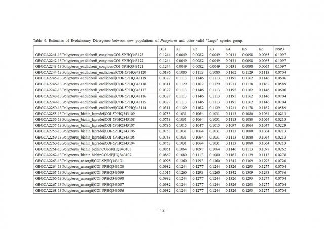 논문 최종발표용012.jpg 논문 최종발표용012.jpg