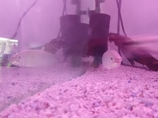 IMG_20220829_212013_942.jpg