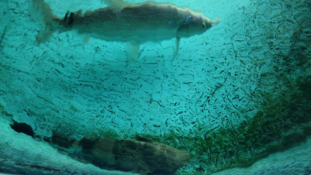 IMG_20220821_090612285.jpg