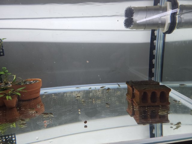 20220901_213054.jpg