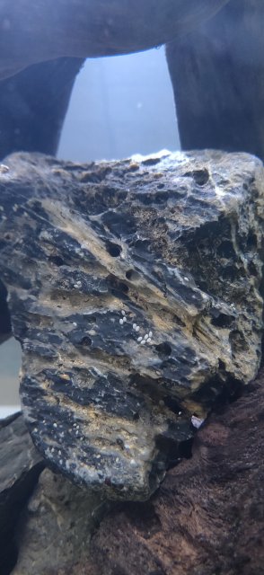 IMG_20220901_155502.jpg IMG_20220901_155502.jpg