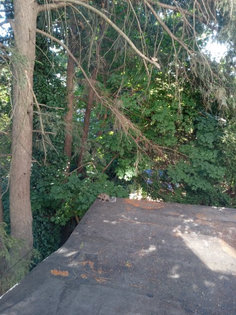 20220902_100840.jpg