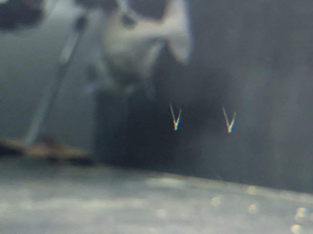 PXL_20220906_175000740.jpg