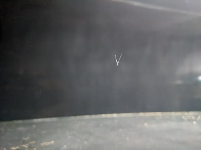 PXL_20220906_174937744.jpg