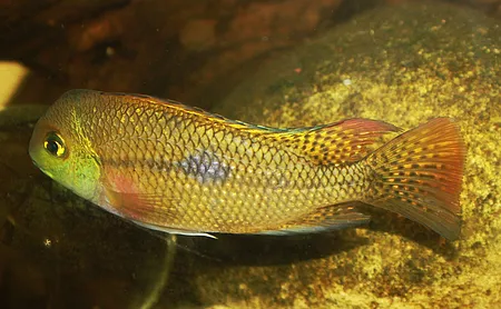 1662645155774.png 1662645155774.png