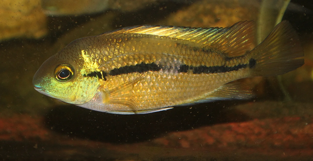 1662645226789.png 1662645226789.png