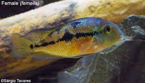 1662653426647.png 1662653426647.png