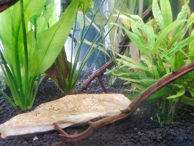 20220909_130836.jpg