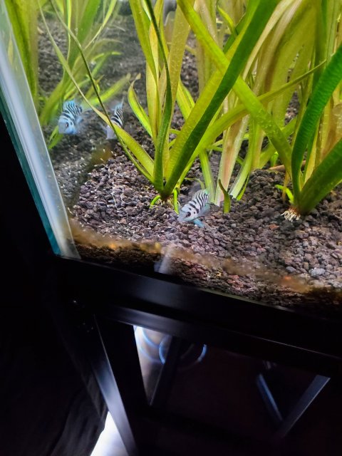 20220909_152923.jpg