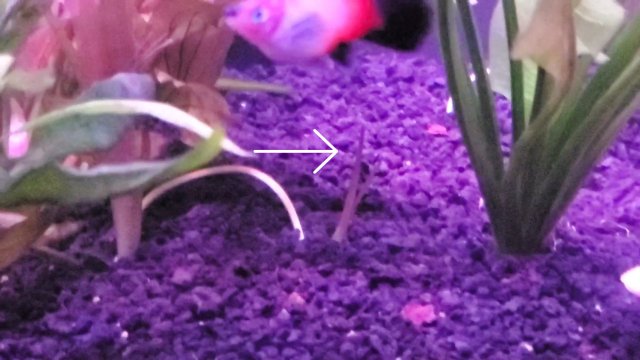 VideoCapture_20220910-120505.jpg