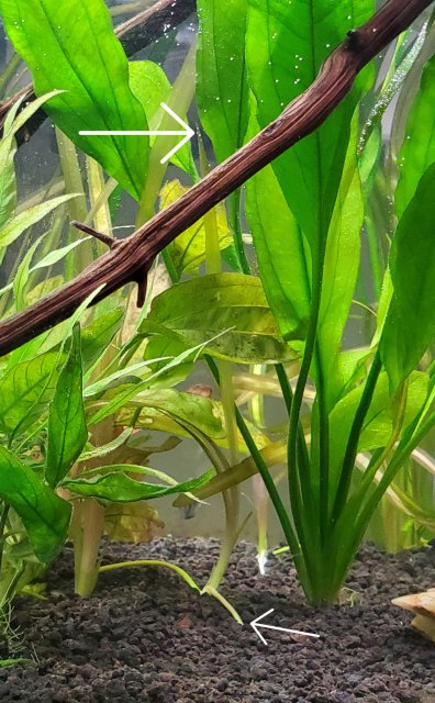 20220910_115113.jpg