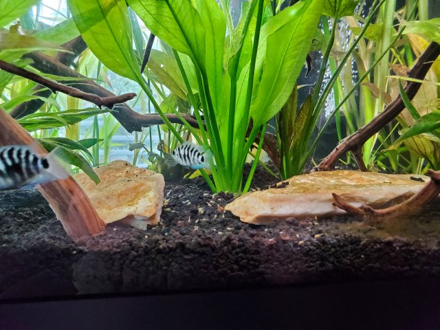 20220913_113220.jpg