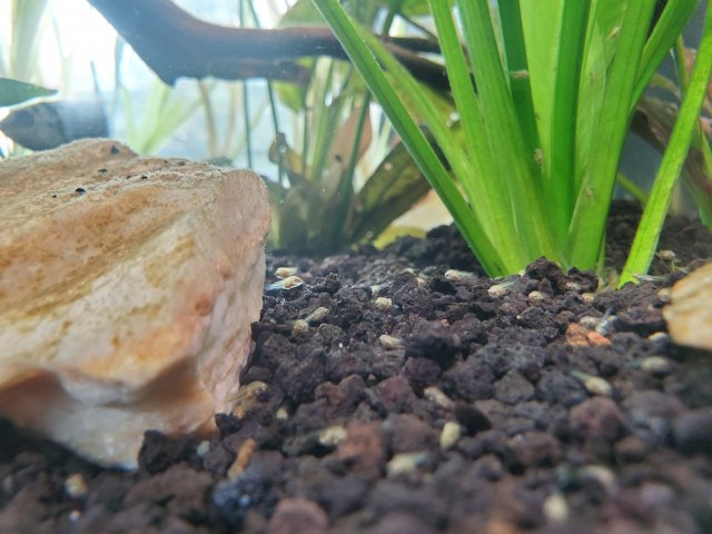 20220913_113245.jpg