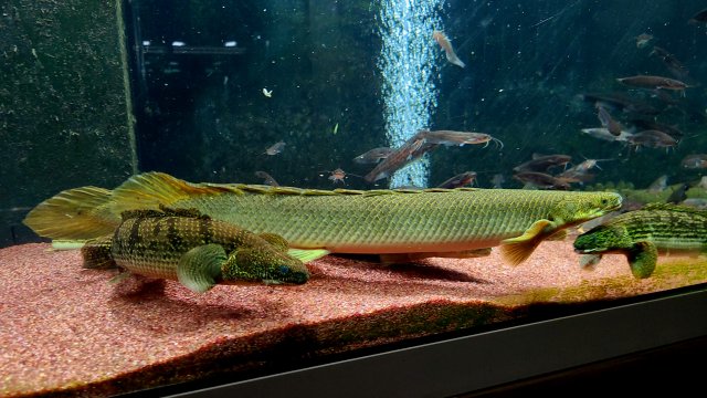 20220914_012042.jpg