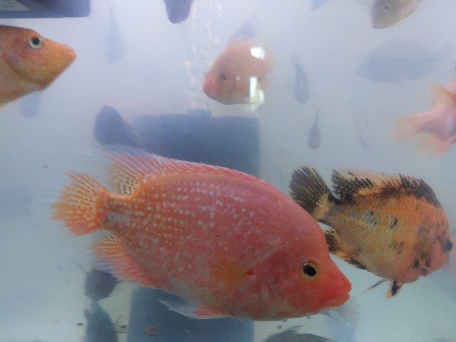 20220913_081729-min.jpg