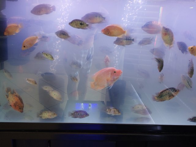 20220913_081839-min.jpg