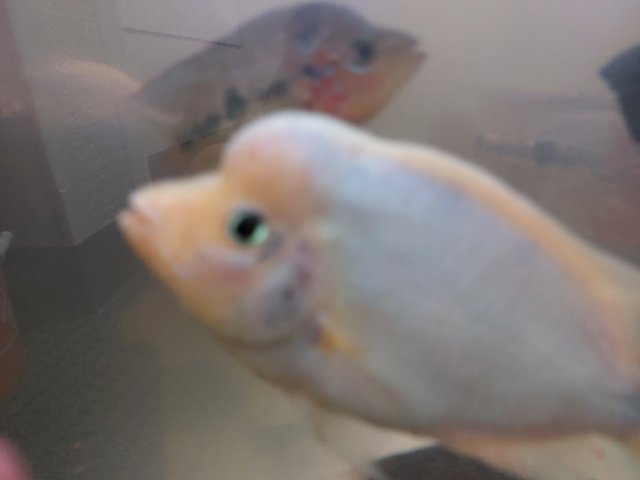 20220909_140030-min.jpg