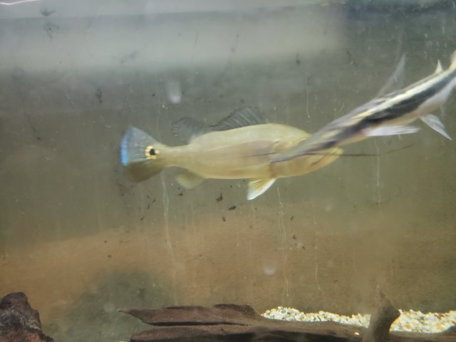 20220911_212531.jpg