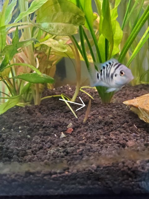 20220915_094657.jpg